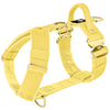 Easy Walk Extreme Gold Buckle Gold Yellow - Sele med snabbspänne