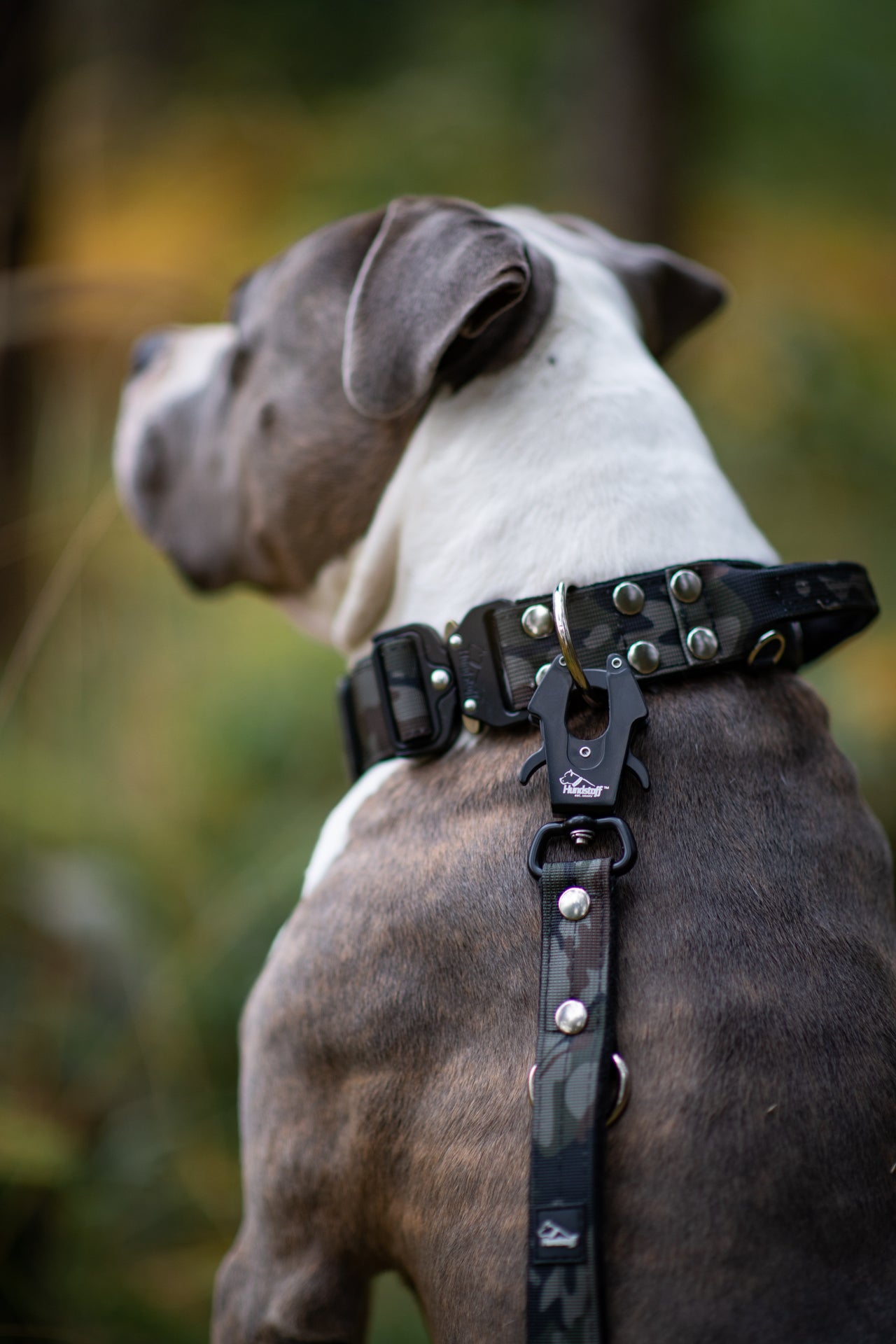 Martingale Camo Black - Brett fodrat hundhalsband halvstryp