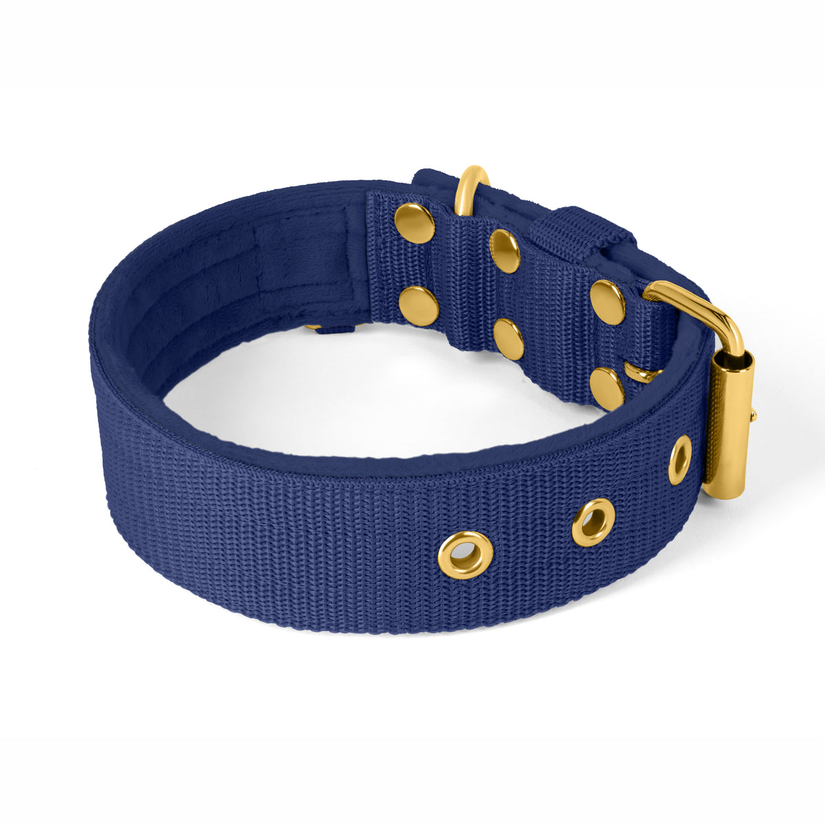 Active Gold Edition Navy Blue