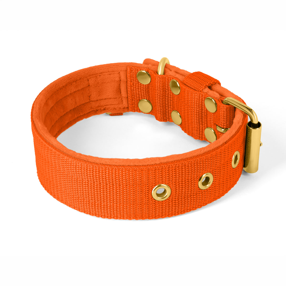 Active Gold Edition Orange