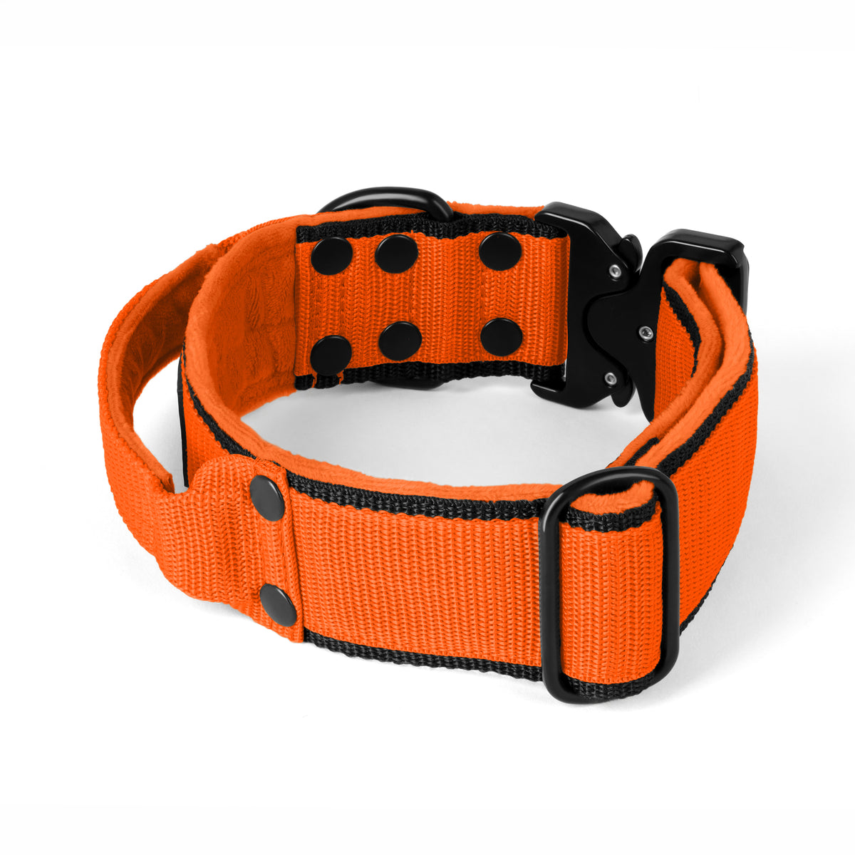 Extreme Buckle Black Edition Orange