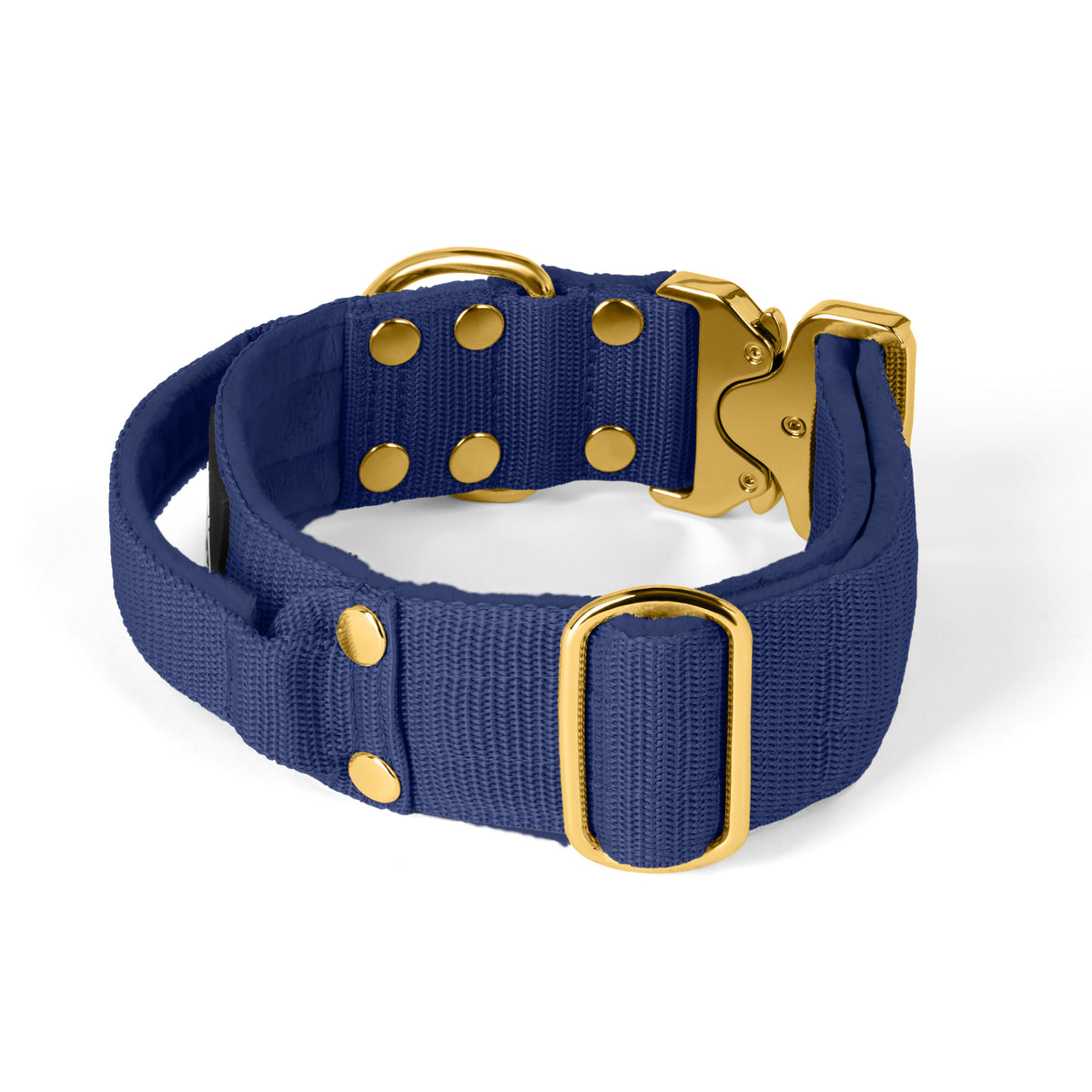 Extreme Buckle Gold Edition Navy Blue