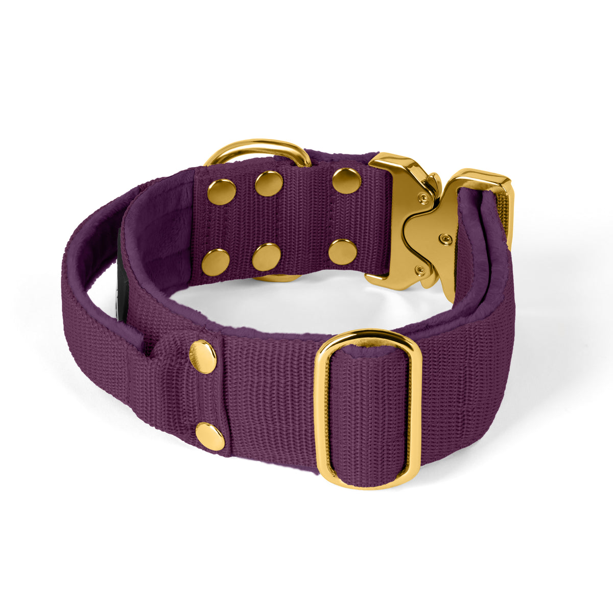 Extreme Buckle Gold Edition Plum
