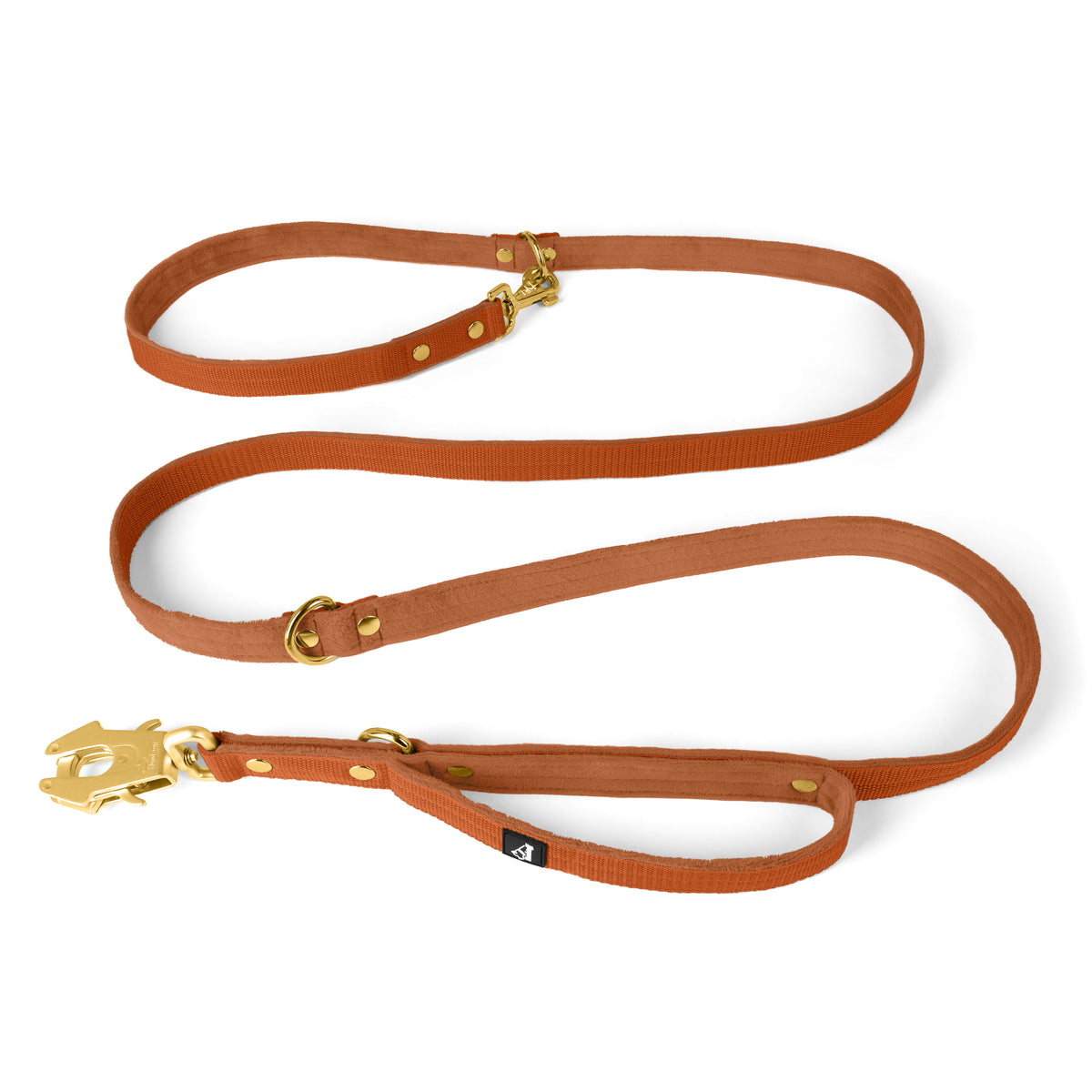 Multi Guard Leash Gold Edition Burned Orange