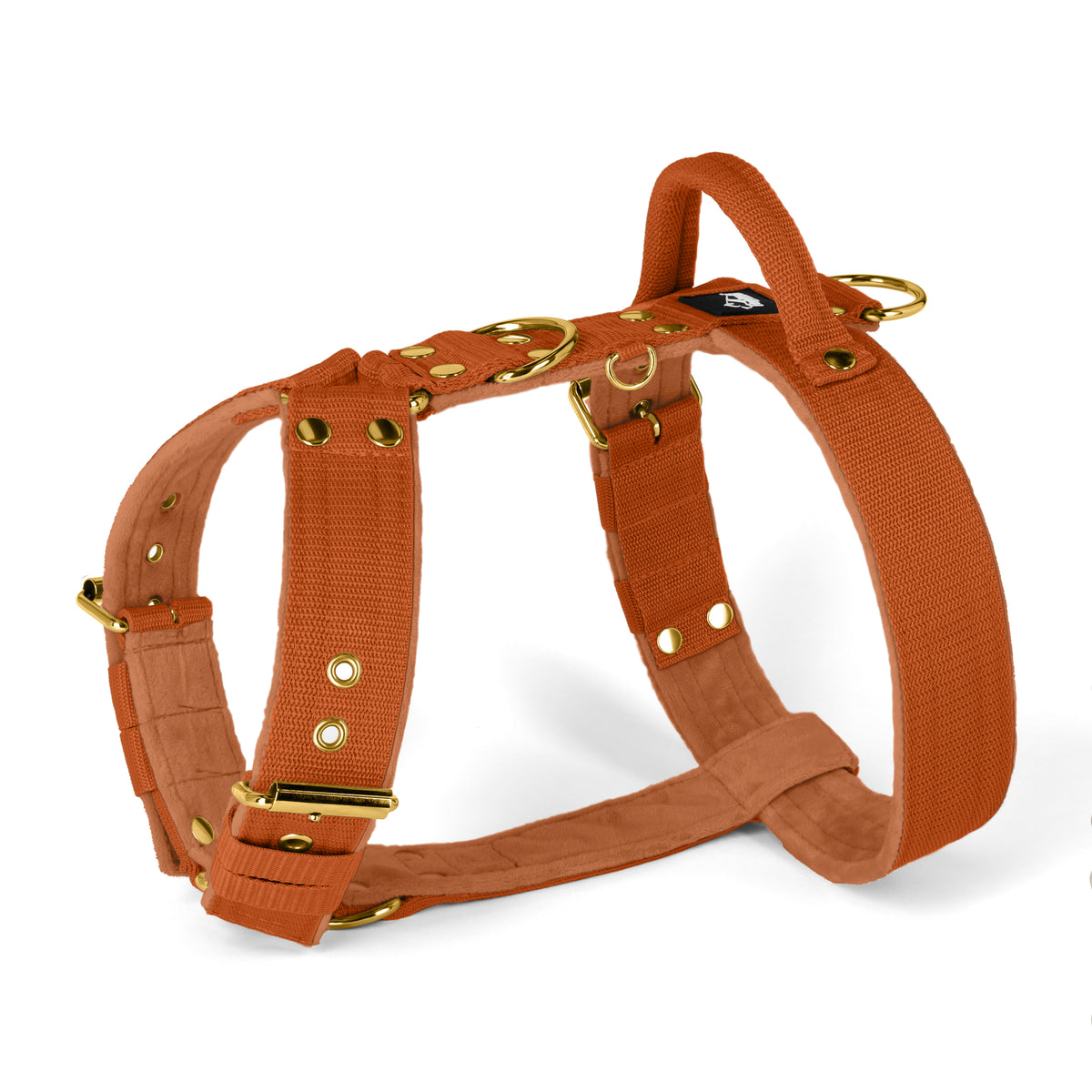 Easy Walk Gold Edition Burned Orange