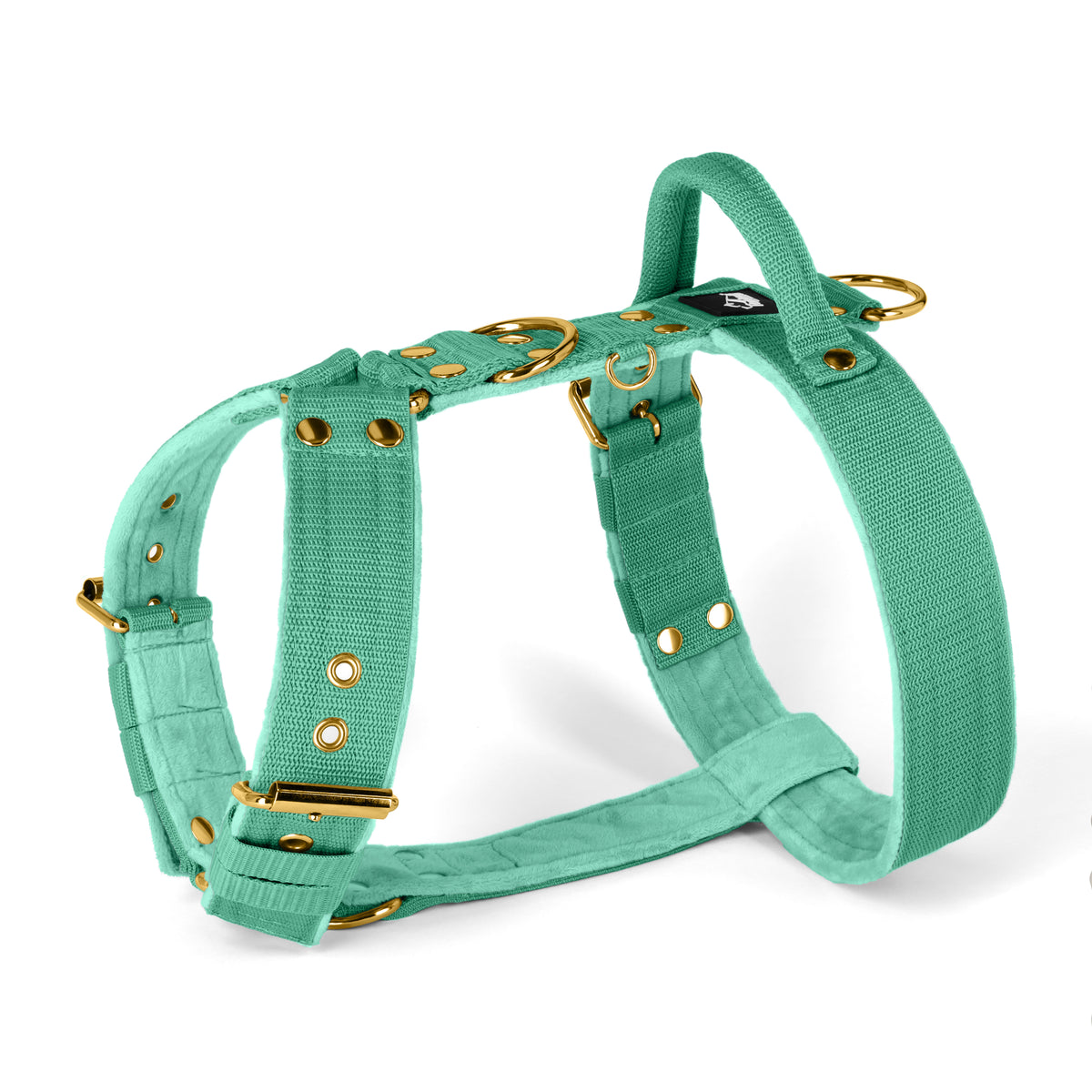 Easy Walk Gold Edition Mint