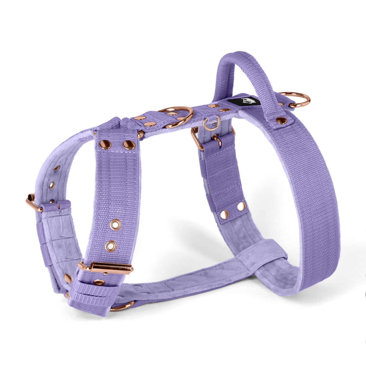 Easy Walk Rose Edition Baby Purple