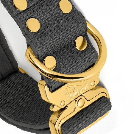 Golden Edition