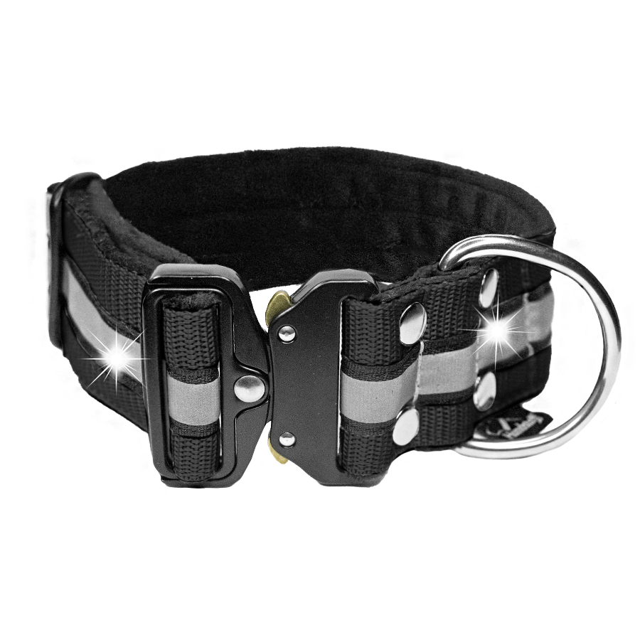 extreme buckle safe