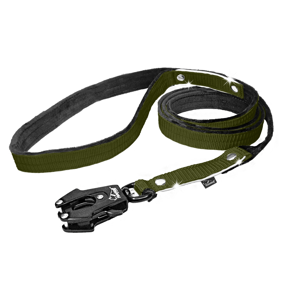 extreme leash safe khaki