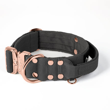 Extreme Buckle Rose Edition