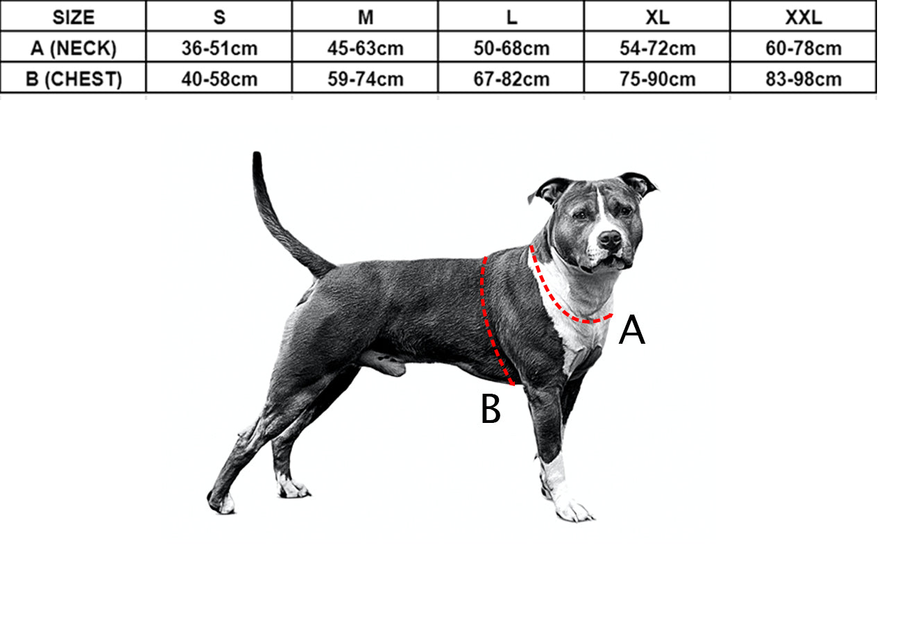 16335386691633538520615c275c1d7ed