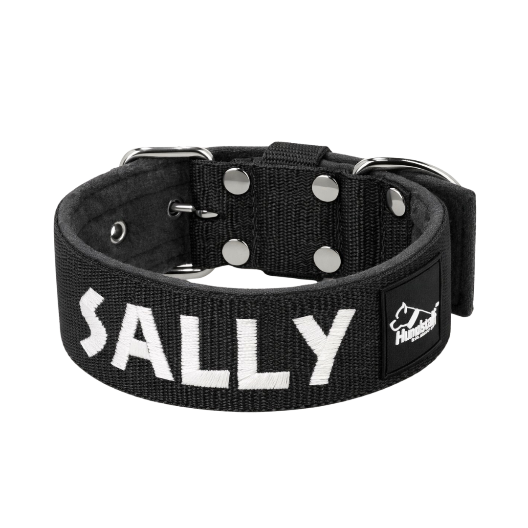 Hundhalsband med namn
