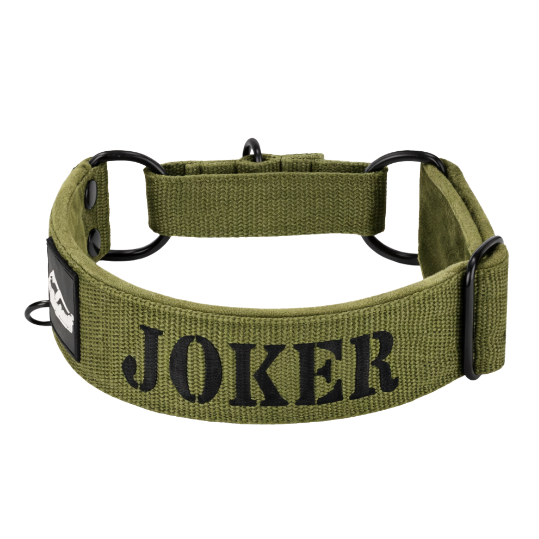 Martingale halsband med namn