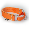 Martingale Orange - Brett fodrat halsband halvstryp