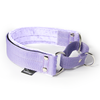 Martingale Baby Purple - Brett fodrat halsband halvstryp