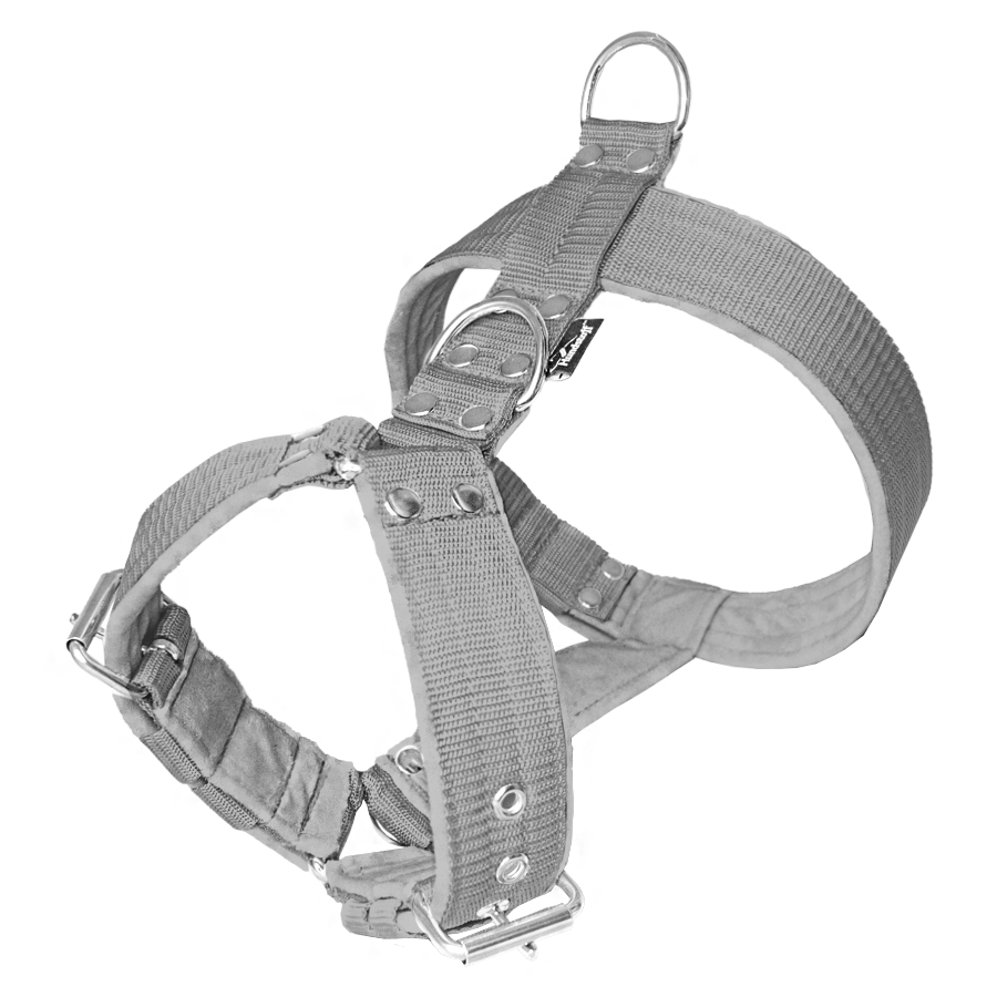 Easy Walk Grå - Sele med handtag