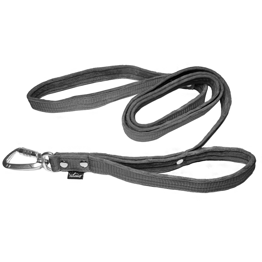 guard leash grått