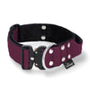 Extreme Buckle Plum - Starkt och säkert halsband