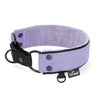 Martingale Black Edition Baby Purple - Brett fodrat halsband halvstryp