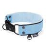 Martingale Black Edition Baby Blue - Brett fodrat halsband halvstryp