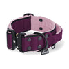 Extreme Buckle Black Edition Plum - Starkt och säkert halsband