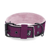 Active Komfort Black Edition Plum - Brett slitstarkt halsband med spänne