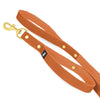 Guard Leash Golden Edition Burned Orange - Väktarkoppel med extra handtag