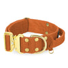 Extreme Gold Buckle Burned Orange - Starkt och säkert halsband