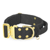 Extreme Gold Buckle Dark Grey - Starkt och säkert halsband