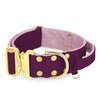 Extreme Gold Buckle Plum - Starkt och säkert halsband