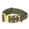 Extreme Gold Buckle Khaki - Starkt och säkert halsband