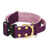 Extreme Buckle Golden Plum - Starkt och säkert halsband