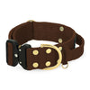 Extreme Buckle Golden Dark Brown - Starkt och säkert halsband