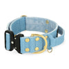 Extreme Buckle Golden Baby Blue - Starkt och säkert halsband