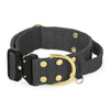 Extreme Buckle Golden Dark Grey - Starkt och säkert halsband