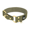 Martingale Golden Khaki - Brett fodrat halsband halvstryp