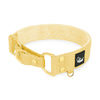 Martingale Golden Gold Yellow - Brett fodrat halsband halvstryp