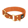 Martingale Golden Burned Orange - Brett fodrat halsband halvstryp