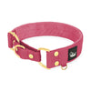 Martingale Golden Raspberry Red - Brett fodrat halsband halvstryp