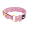 Martingale Golden Candy Pink - Brett fodrat halsband halvstryp