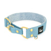 Martingale Golden Baby Blue - Brett fodrat halsband halvstryp