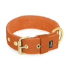 Active Golden Burned Orange - Brett slitstarkt halsband med spänne