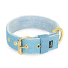 Active Golden Baby Blue - Brett slitstarkt halsband med spänne