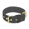 Active Golden Dark Grey - Brett slitstarkt halsband med spänne