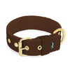 Active Golden Dark Brown - Brett slitstarkt halsband med spänne