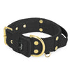 Grip Golden Svart - Brett fodrat halsband med handtag