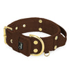 Grip Golden Dark Brown - Brett fodrat halsband med handtag