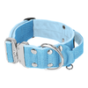 Extreme Silver Buckle Baby Blue - Starkt och säkert halsband