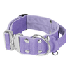 Extreme Silver Buckle Baby Purple - Starkt och säkert halsband